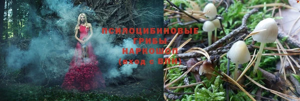 ALPHA PVP Карпинск