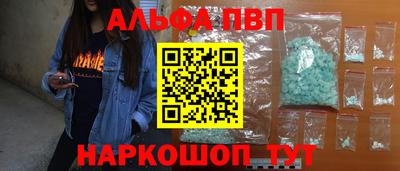 гашик Кингисепп