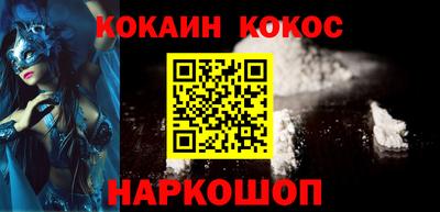 гашик Кингисепп