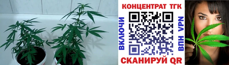 ТГК гашишное масло  хочу   mega вход  Куйбышев 