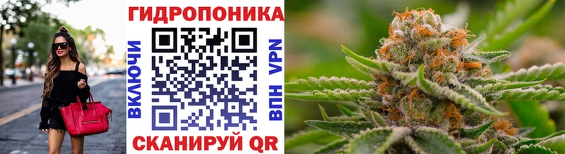 наркота  Куйбышев  Конопля SATIVA & INDICA 